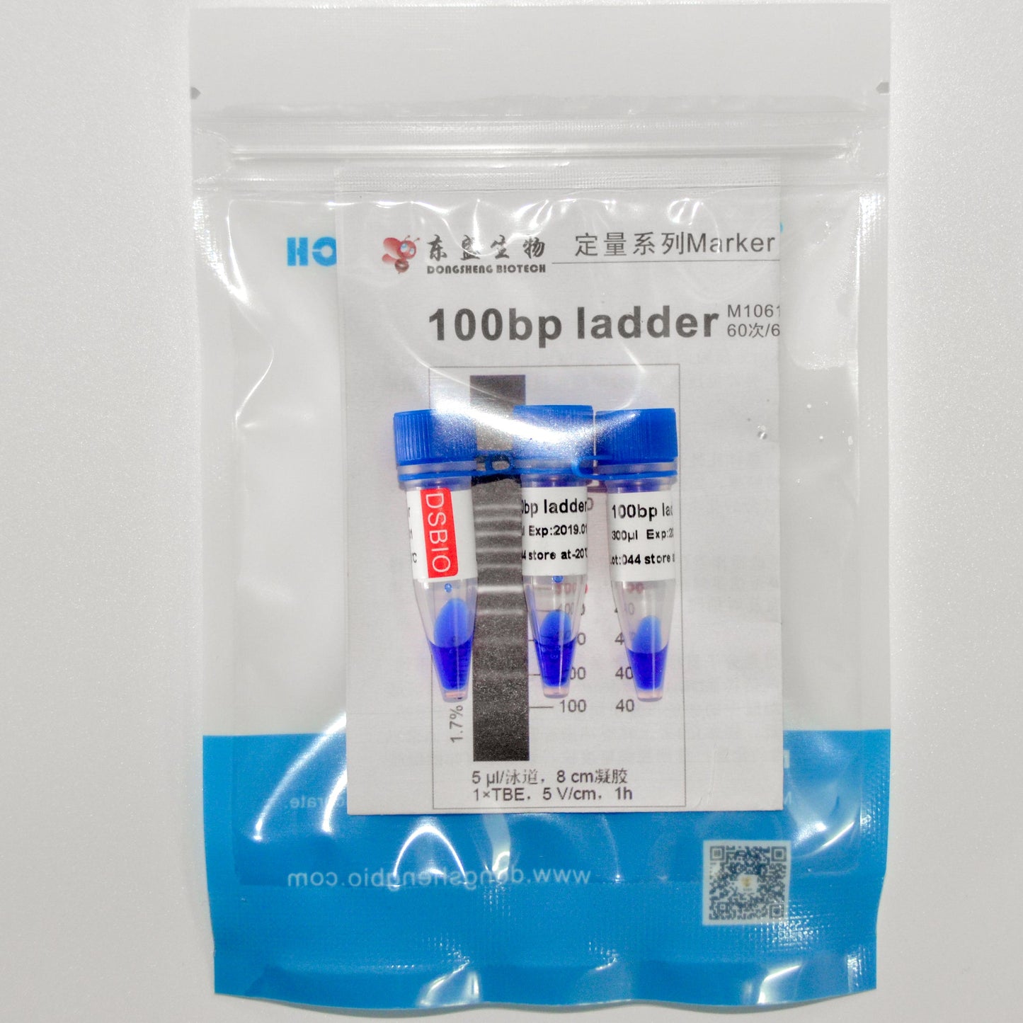100bp DNA Ladder