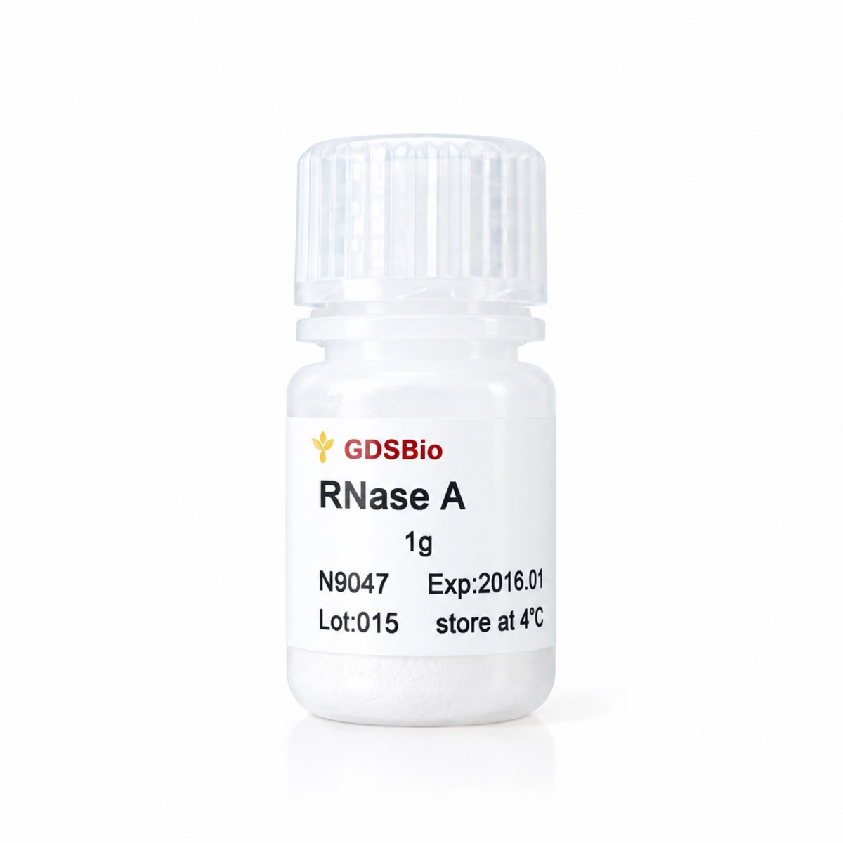 RNase A