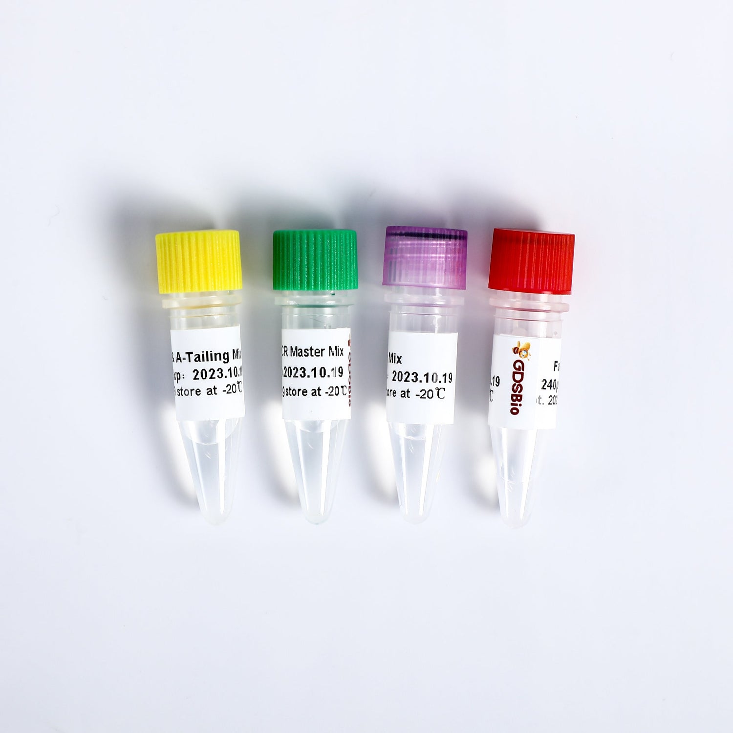 DNA NGS Library Prep Kit
