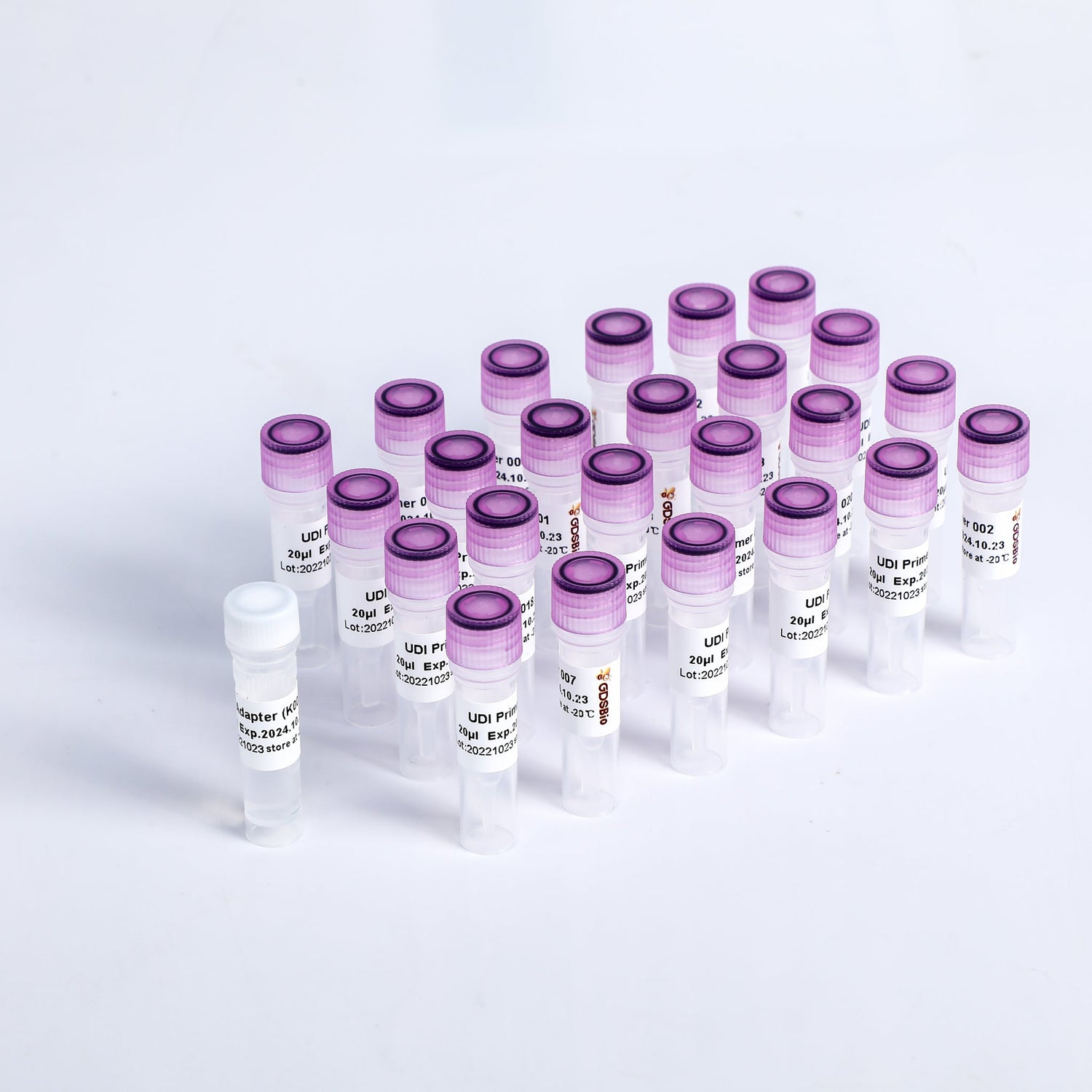 NGS Adapter, Selection Beads