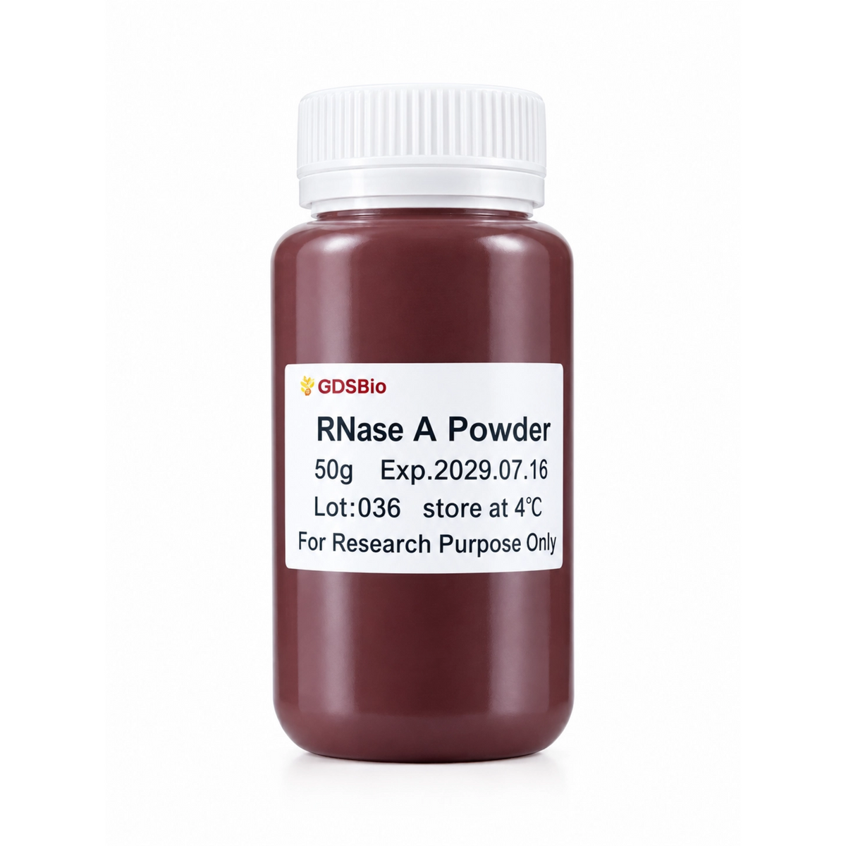 RNase A