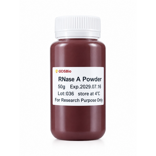 RNase A