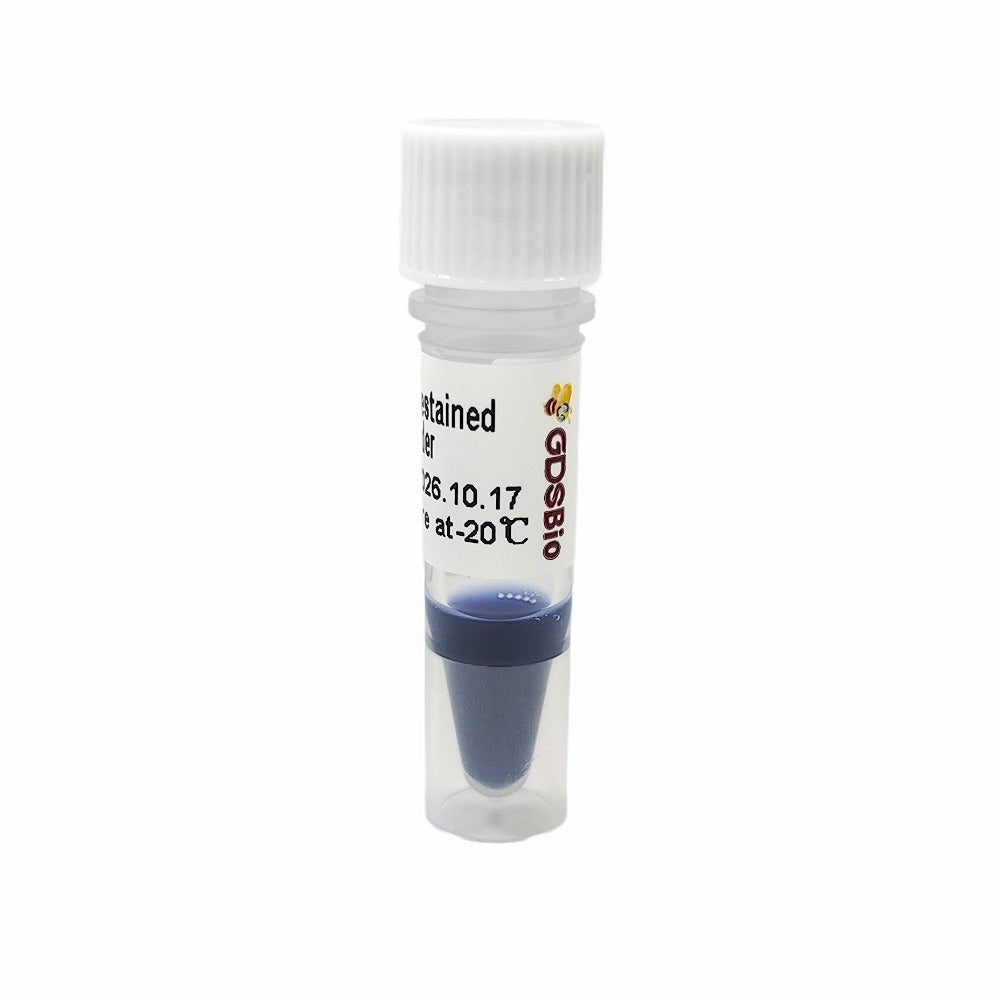 10-180KD Prestained Protein Ladder