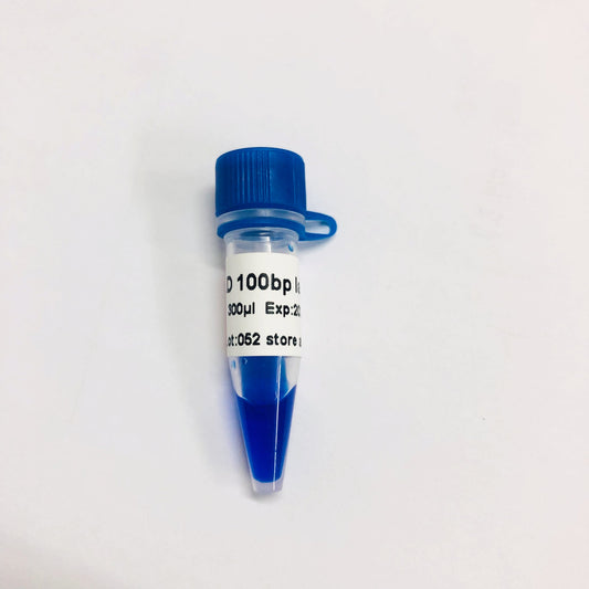 LD 100bp DNA Ladder