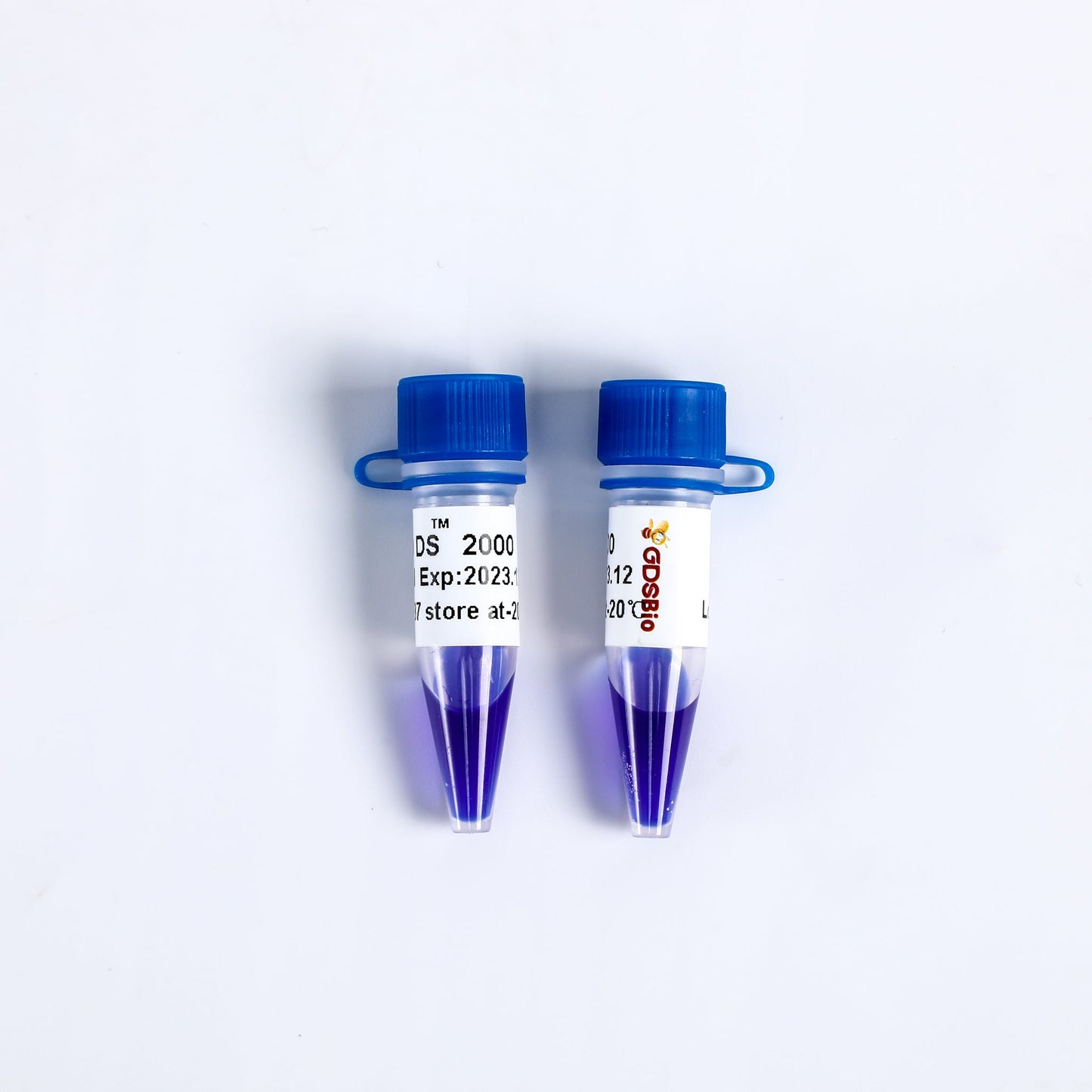 LD DS2000 DNA Marker