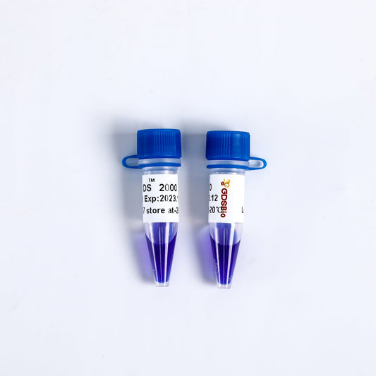 LD DS2000 DNA Marker