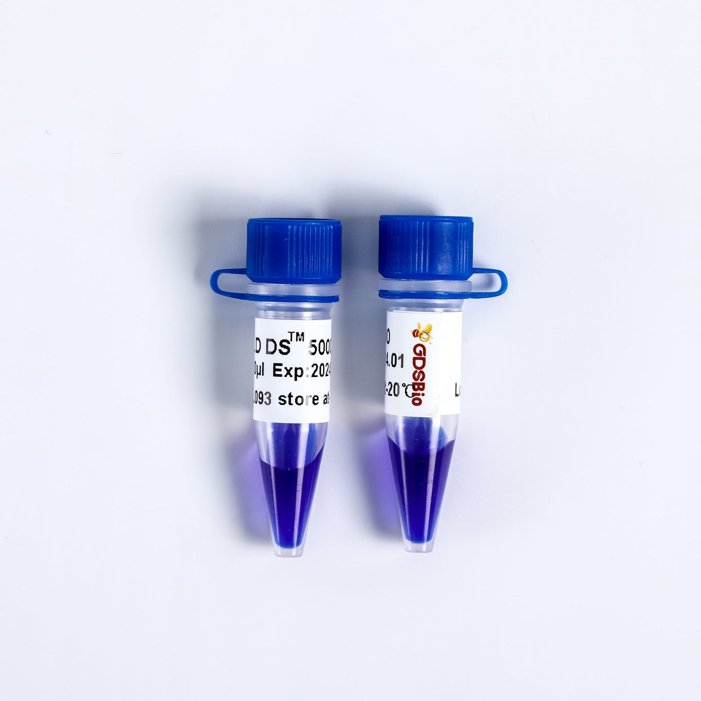 LD DS5000 DNA Marker