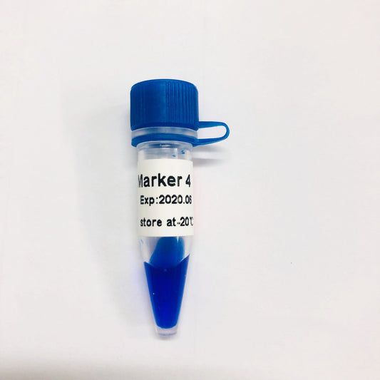 LD Marker 4 DNA Marker