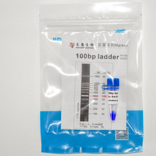 100bp DNA Ladder