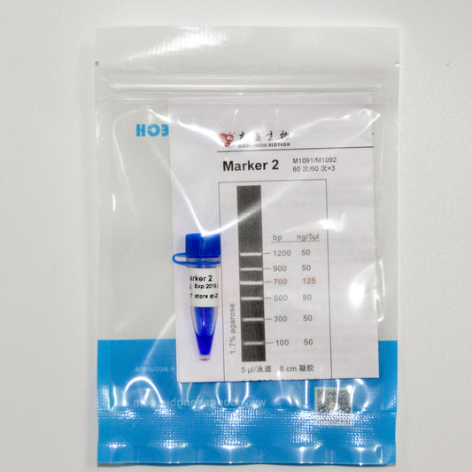 Marker 2  DNA Marker