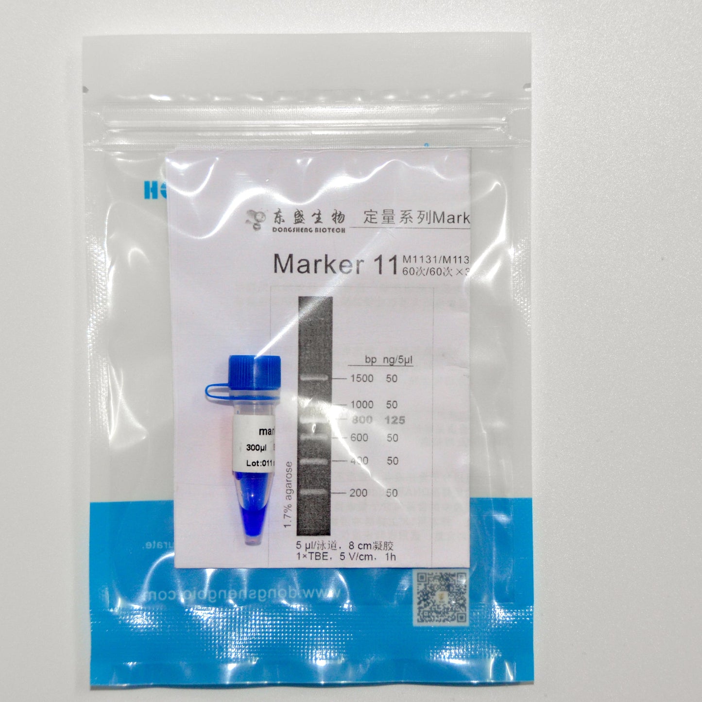 Marker 11  DNA Marker