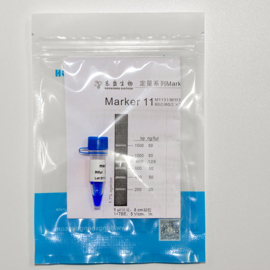 Marker 11  DNA Marker