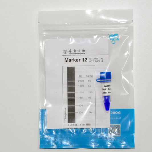 Marker 12 DNA Marker
