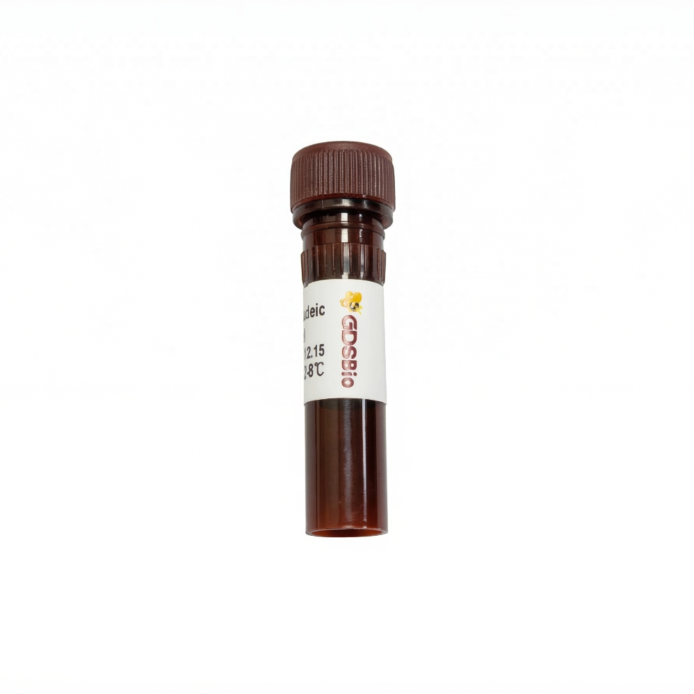 PureView Green Nucleic Acid Stain