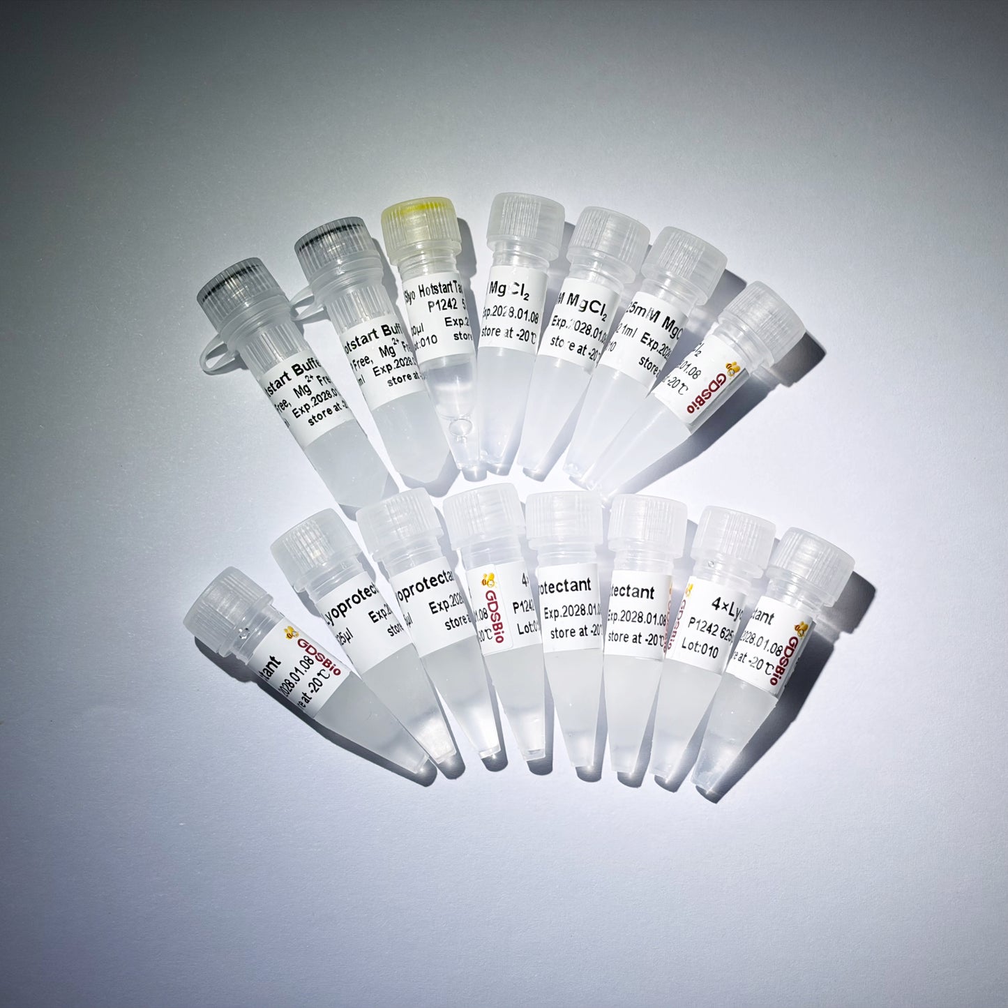 GDSlyo Hotstart Taq Polymerase