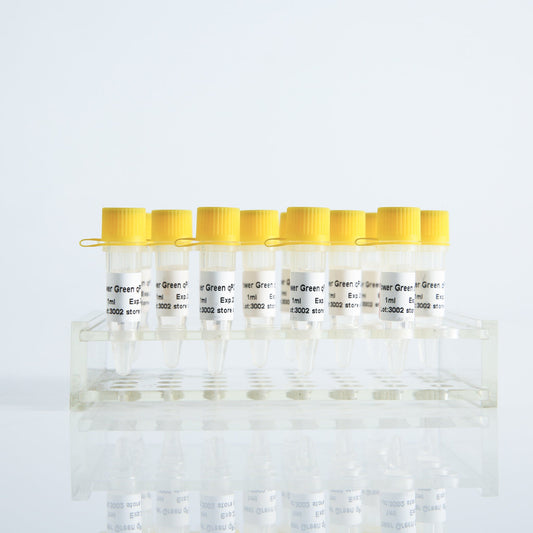 Power Green qPCR Mix