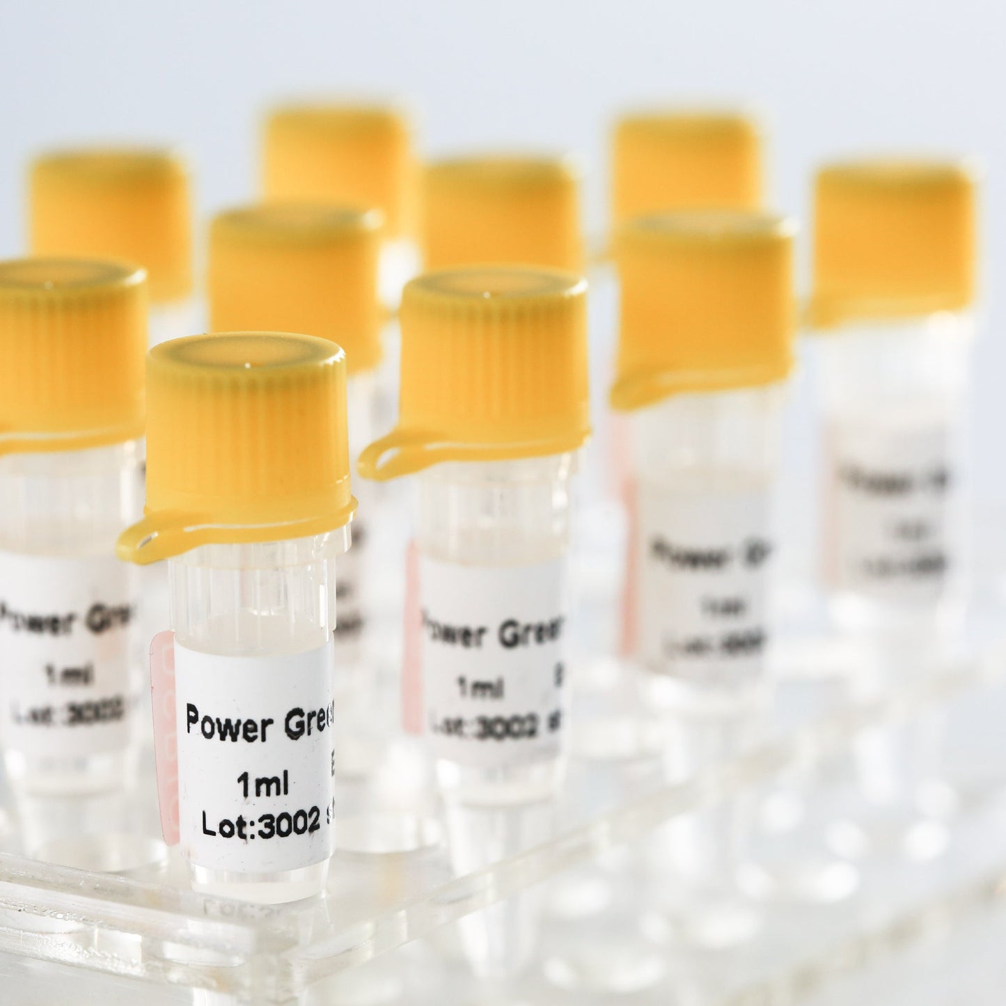 Power Green qPCR Mix