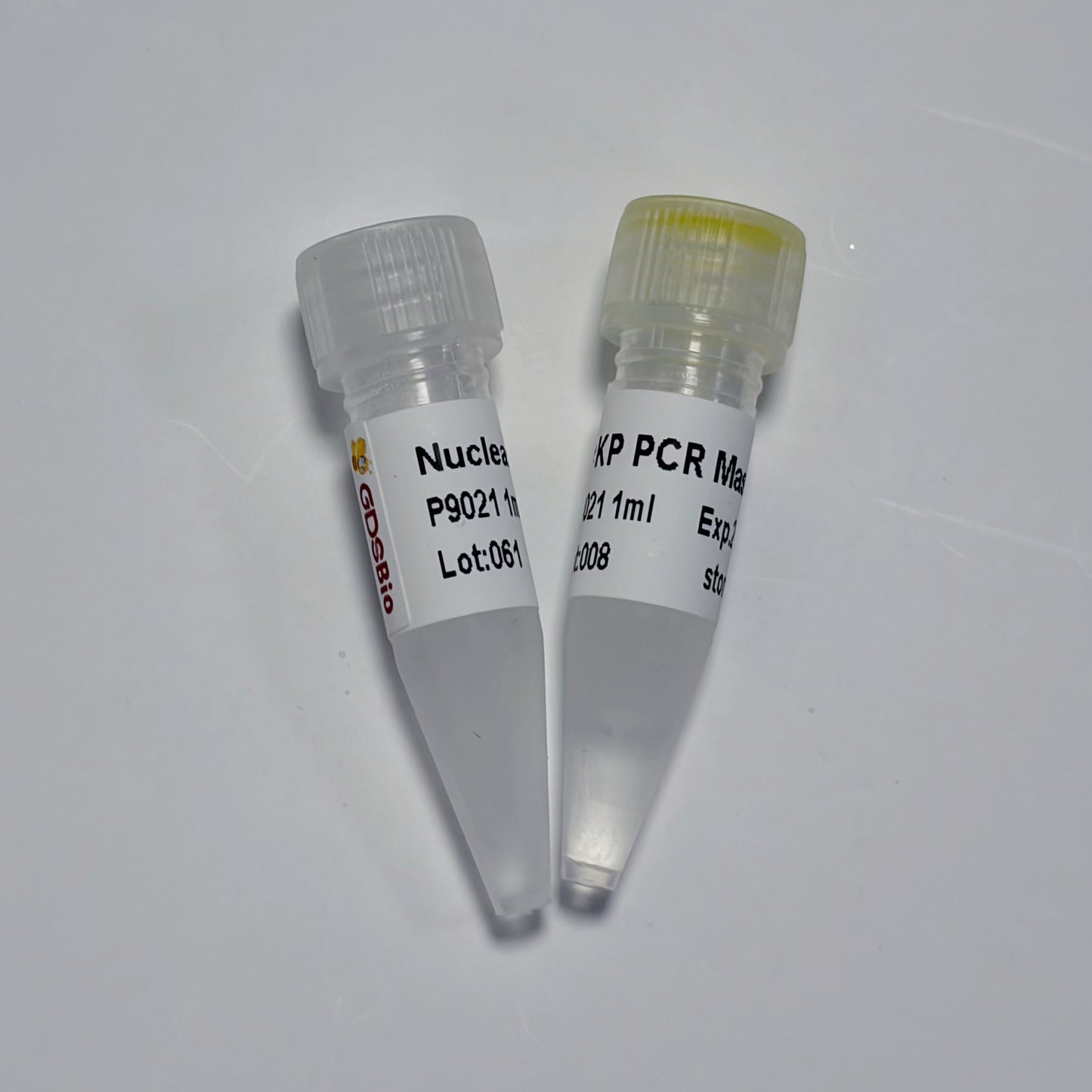 KP PCR Master Mix