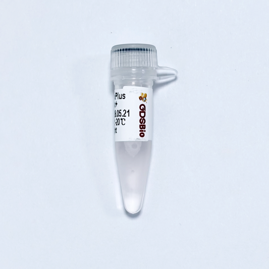 GDS dsDNA Fragmentation Enzyme