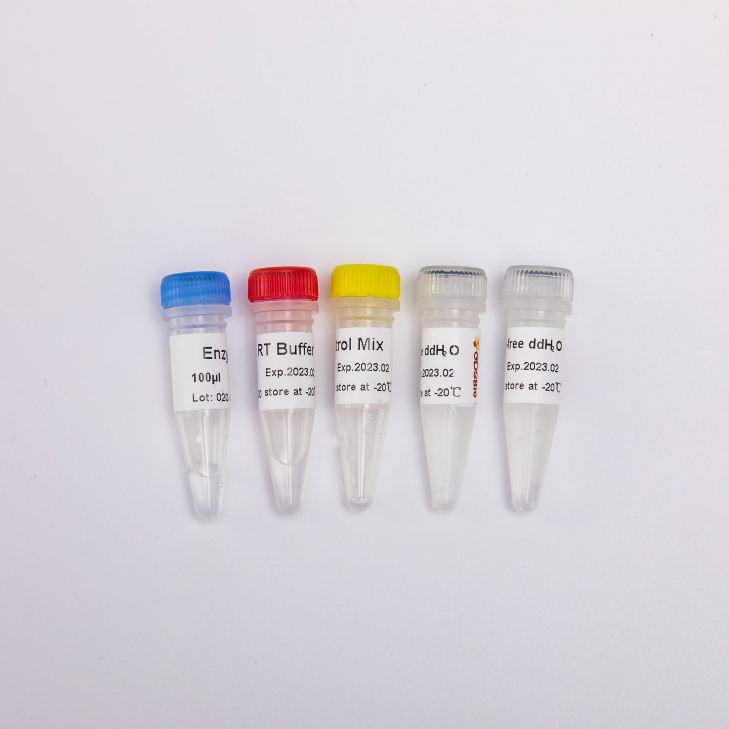 miRNA 1st Strand cDNA Synthesis Kit by stem-loop
