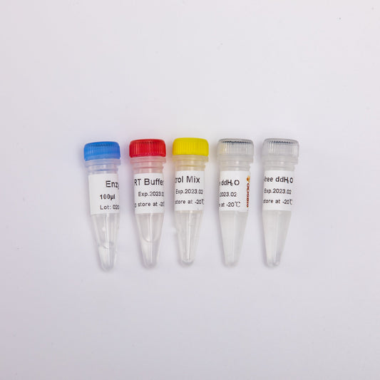 miRNA 1st Strand cDNA Synthesis Kit by stem-loop
