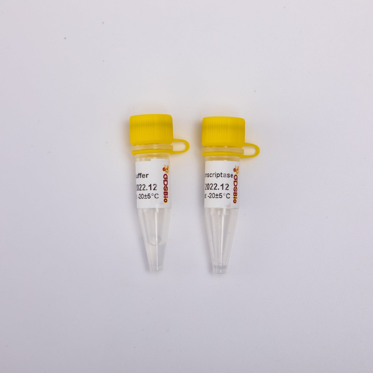 GDSlyo Gold Reverse Transcriptase