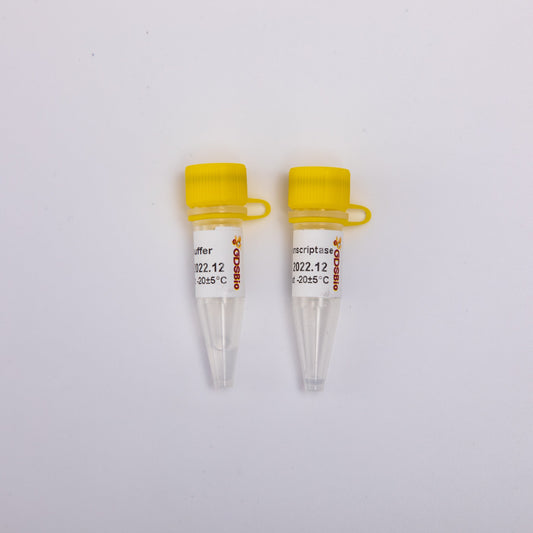 GDSlyo Gold Reverse Transcriptase
