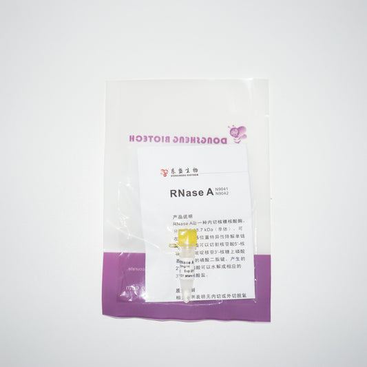 RNase A 100 mg/mL