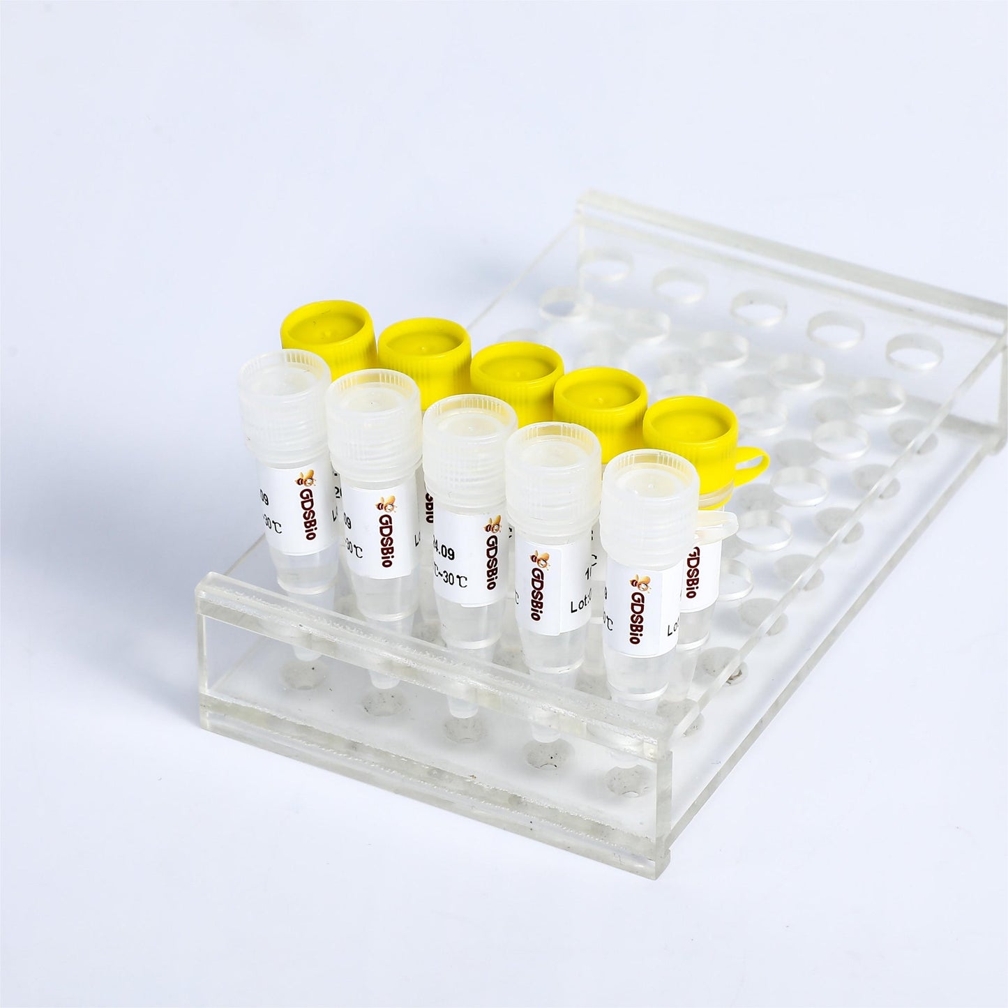 Fast Multiplex Probe qPCR Mix