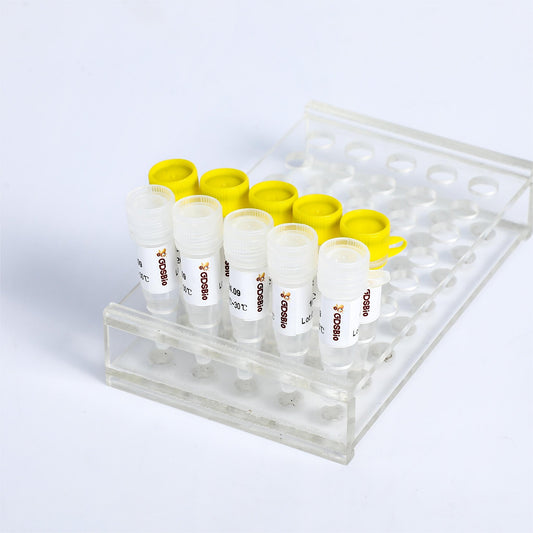 Fast Multiplex Probe qPCR Mix
