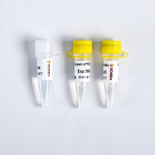 SYBR Green qPCR Mix (with ROX+)