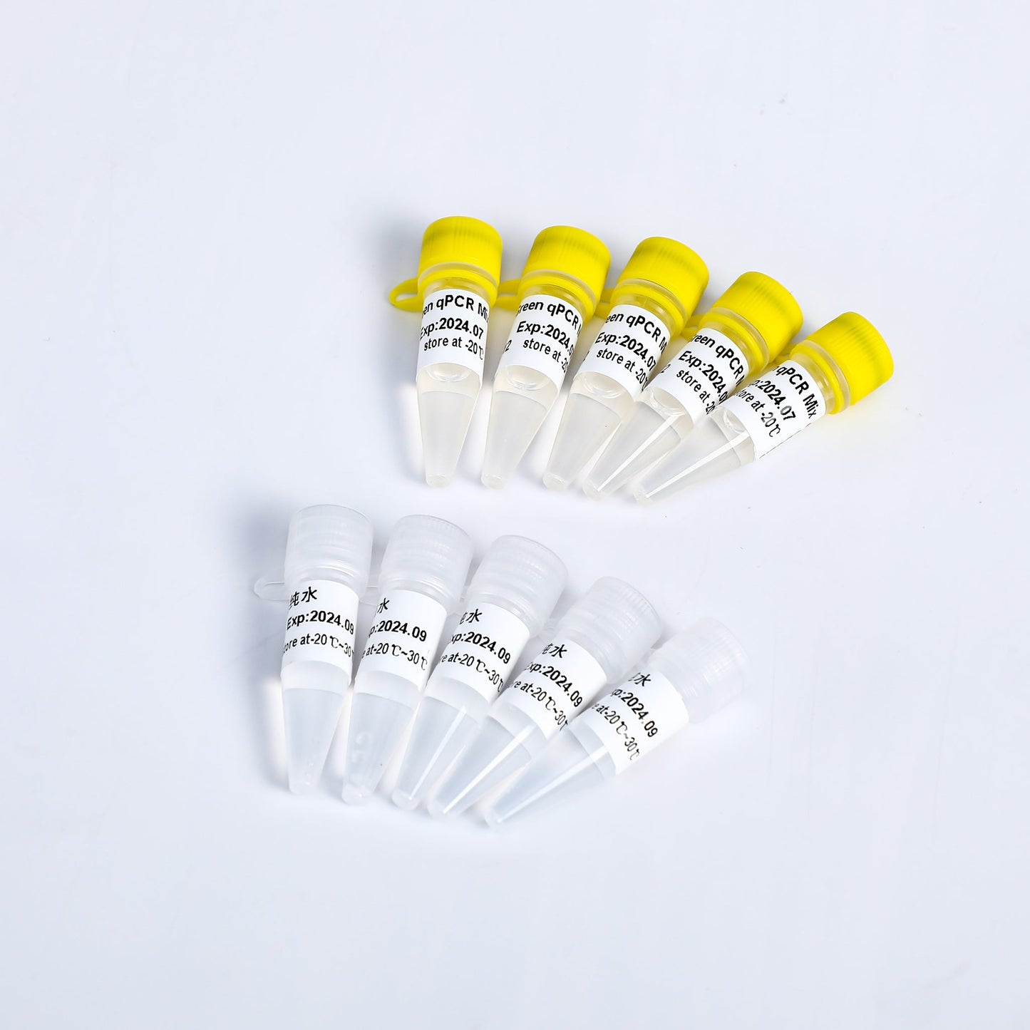 Mezcla qPCR Super SYBR Green