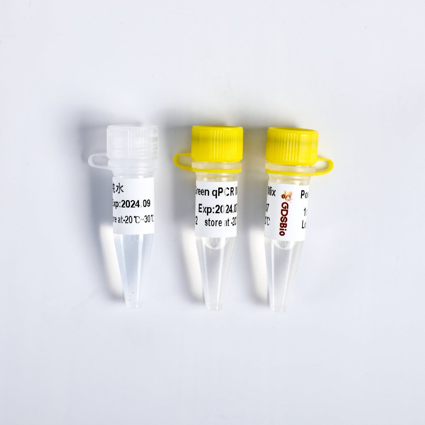 Mezcla qPCR Power Green (con ROX+)