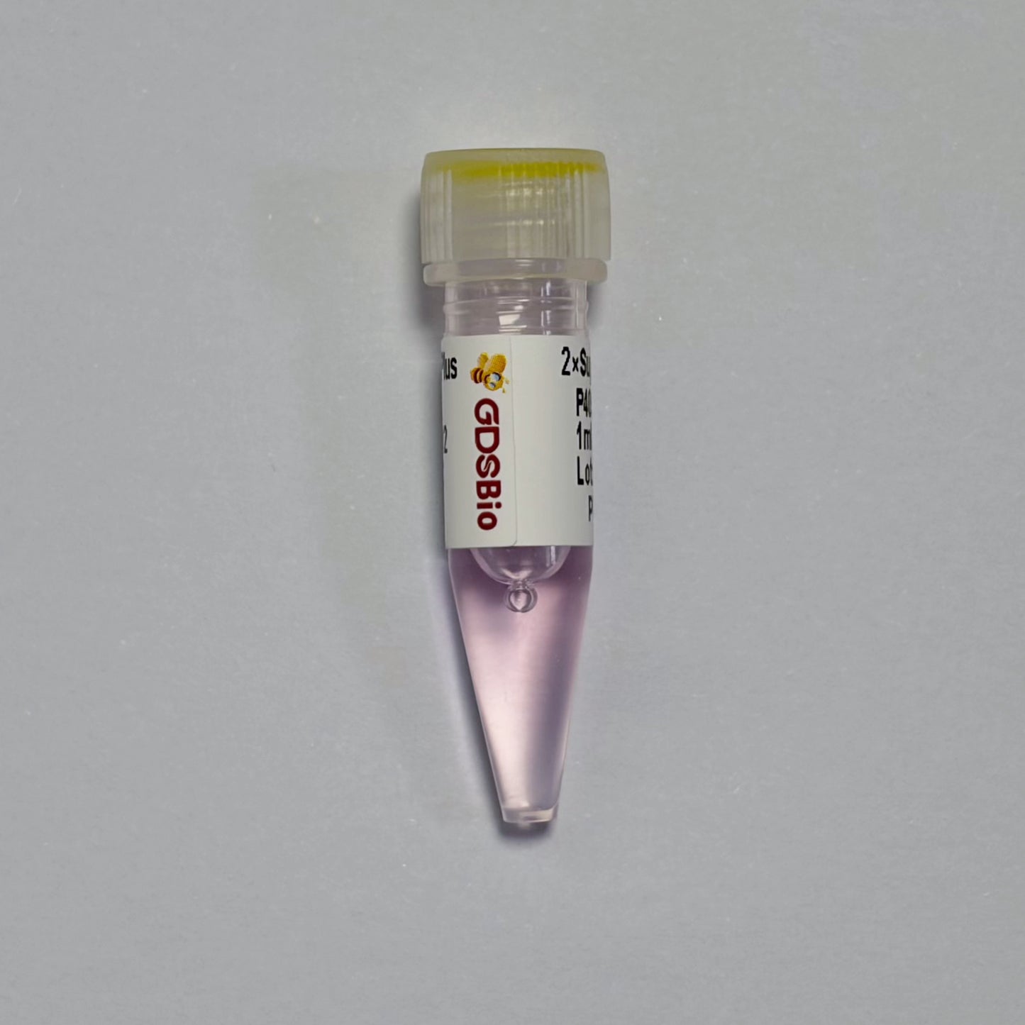 Super KP PCR Master MixPlus (Low ROX+)