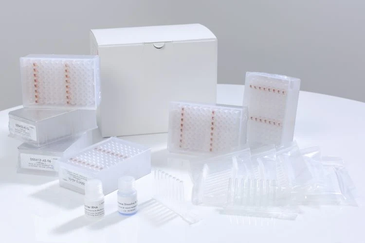 Gdsbio Viral DNA/Rna Nucleic Acid Extraction Kit, Pre-Packaged Test Reagent for Laboratory PCR System Instrument
