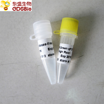 SYBR Green Real Time PCR Mix High ROX+ P2091b/P2092b