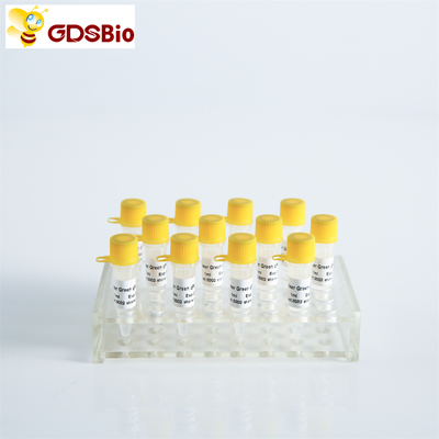 GDSBio HS Probe QPCR Real Time PCR Mix P2201 P2202