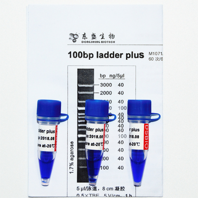 100bp Ladder Plus DNA Marker M1071 (50μg)/M1072 (50μg×5)