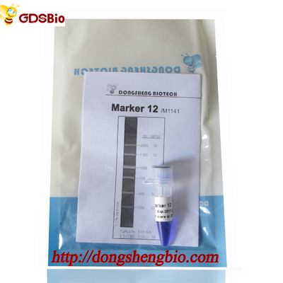 Marker 12 DNA ladder M1141 (50μg)/M1142 (5×50μg)