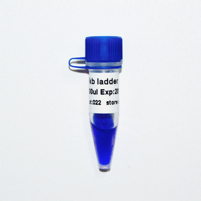 1kb Ladder Plus 1000bp DNA Marker M1191 (50μg)/M1192 (5×50μg)