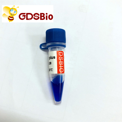 50bp Ladder Plus DNA Marker Electrophoresis , DNA Size Markers Gel Electrophoresis