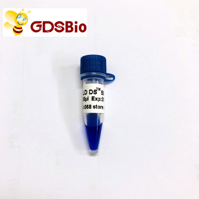 GDSBio LD DS 5000 DNA Marker Electrophoresis Blue Appearance