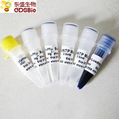 Pfu DNA Polymerase for PCR P1021 P1022 P1023 P1024