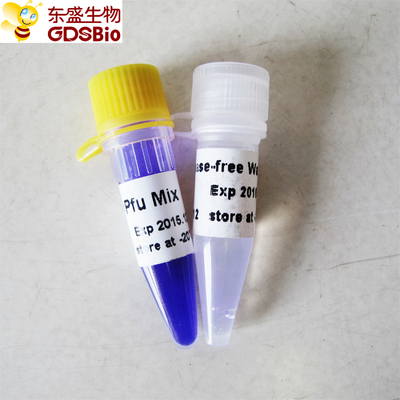 DNA RNA Nucleic Acid PCR Detection Pfu PCR Master Mix P2021 1ml