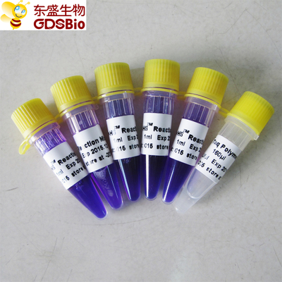 1ml×5 PCR Master Mix HS Kit For Nucleic Acid PCR Detection P3082