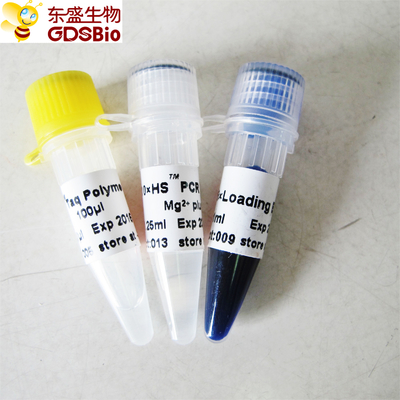 HS Hotstart Taq DNA Polymerase PCR Reagent High Specificity P1081 P1082 P1083 P1084