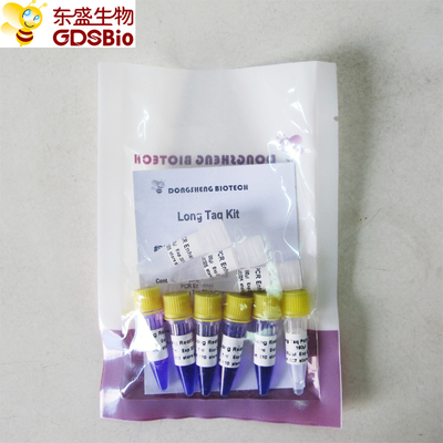 Long Taq Kit PCR Master Mix #P3062 5ml