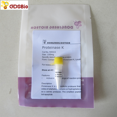 Proteinase K Powder N9016 Molecular Biology Grade In Vitro Diagnostic Products