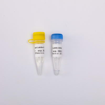 Heat Labile Anti Contamination UDG Enzyme Molecular Biology R5001