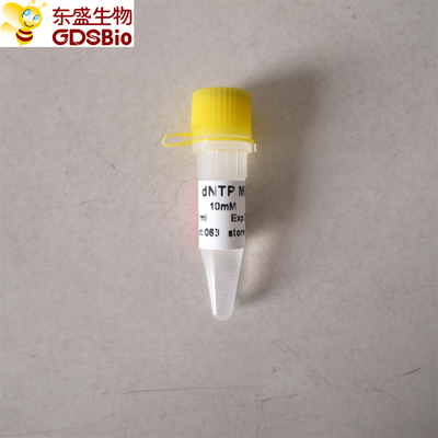 dNTP Mix for PCR qPCR P9013 1ml